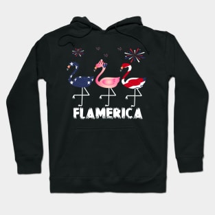 flamerica..4th of july flamingo lovers gift Hoodie